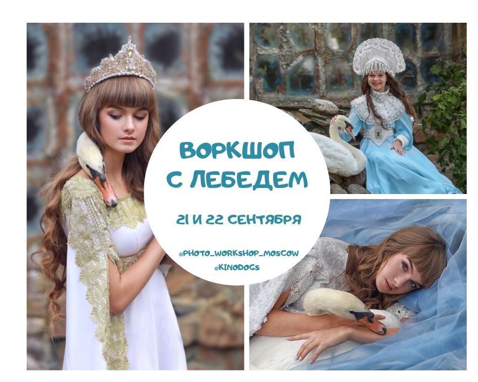 Воркшоп — 15
